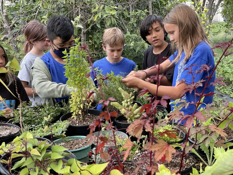 Grow It, Snip It, Eat It: Why a Classroom Herb Garden Might Be the Tastiest Science Lesson You've Ever Taught