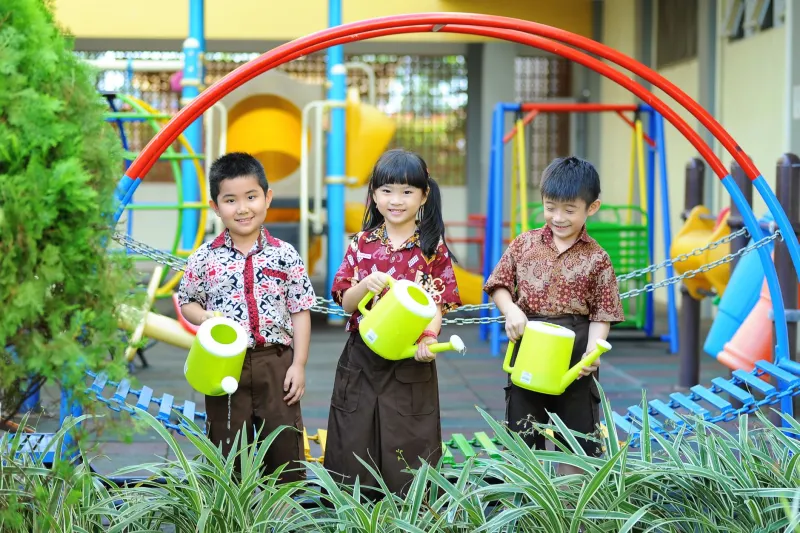 When the Walls Sweat: How Classroom Plants Are Helping Urban Schools Beat the Heat
