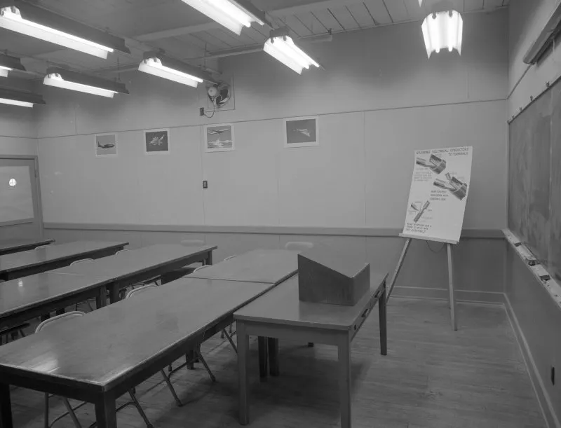 Gone for a Week, Back to a Graveyard: How to Keep Classroom Plants Alive Over Spring Break