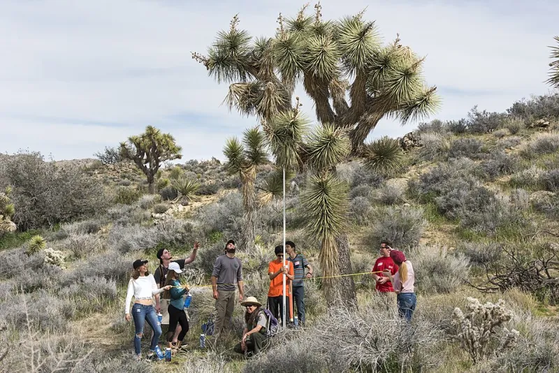 Leaves, Lungs, and Learning: How Classroom Plants Are Quietly Advancing School Climate Goals