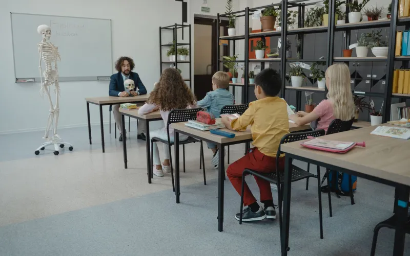 Too Much Love, Too Little Oxygen: The Overwatering Mistake That's Quietly Killing Your Classroom Plants