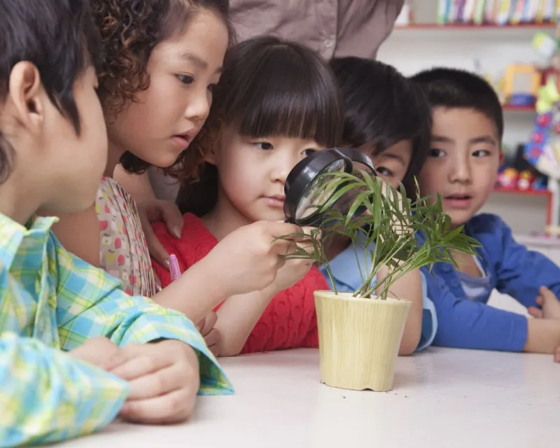 What a Few Potted Plants Did for One of the Most Underfunded Schools in America