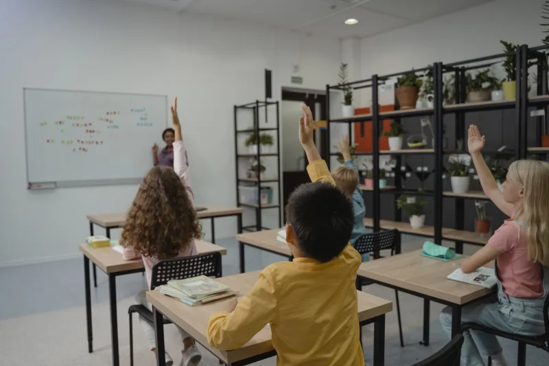 One Plant, One Kid, One Whole School Year: What Happens When Students Become Botanical Mentors